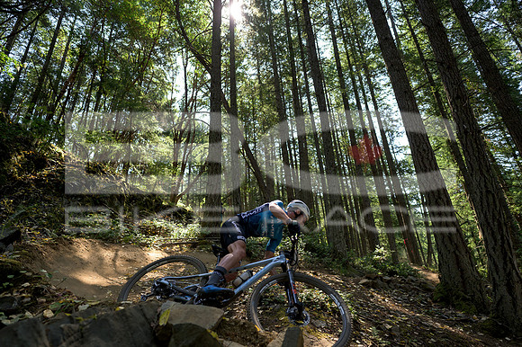 BCBR23_0_0085_DS