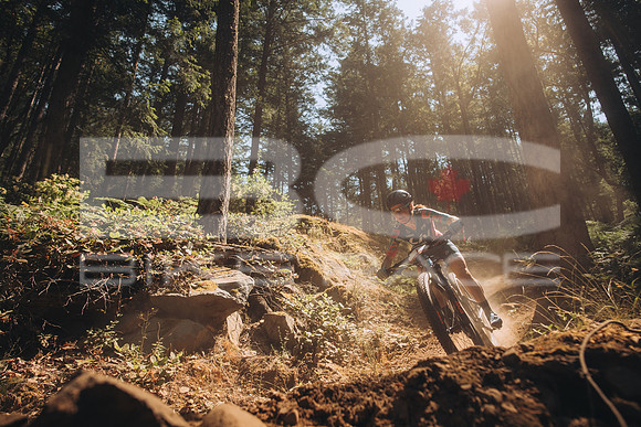 BCBR23_1_0011_MR