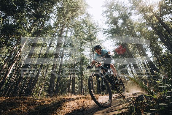 BCBR23_1_0016_MR