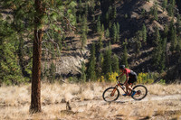 BCBR21_5_0040_DS