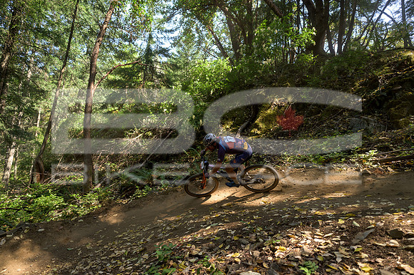 BCBR23_0_0105_DS