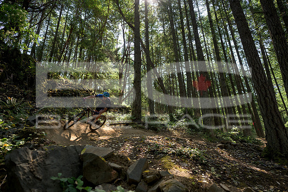 BCBR23_0_0086_DS