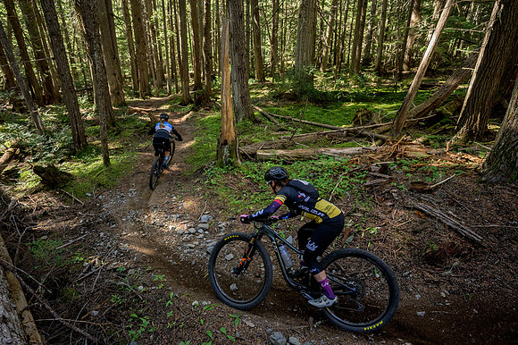 BCBR22_3_0077_DS