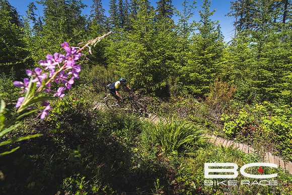 BCBR2024_Day5_JK-06575