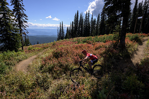 BCBR22_3_0350_DS