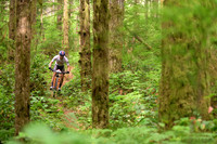 BCBR25_6_0117_DS