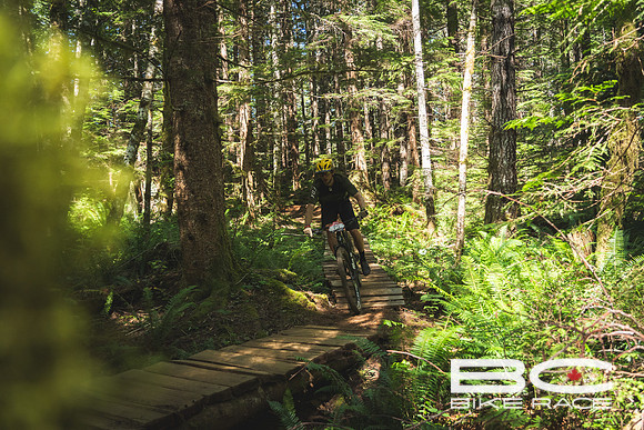 BCBR2024_Day5_JK-06180