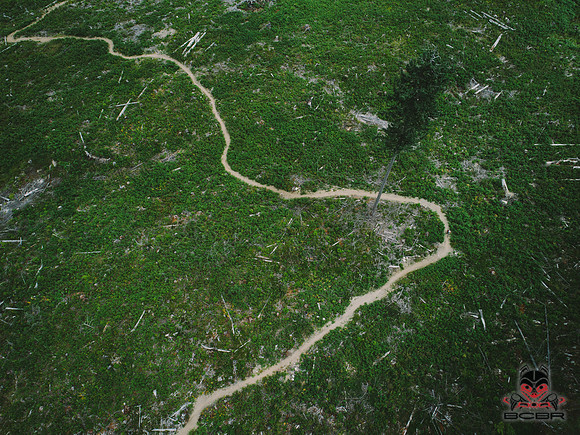 DJI_0040