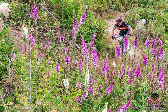 BCBR17_TW_Day3_0682