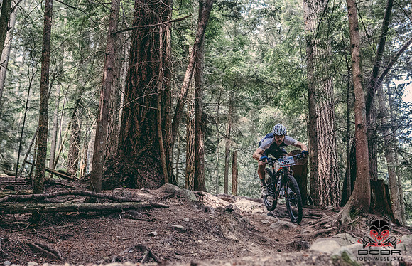 BCBR17_TW_Day4_0101