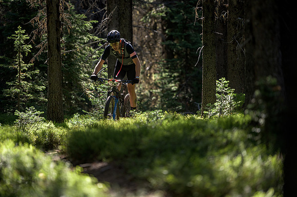 BCBR22_5_0235_DS