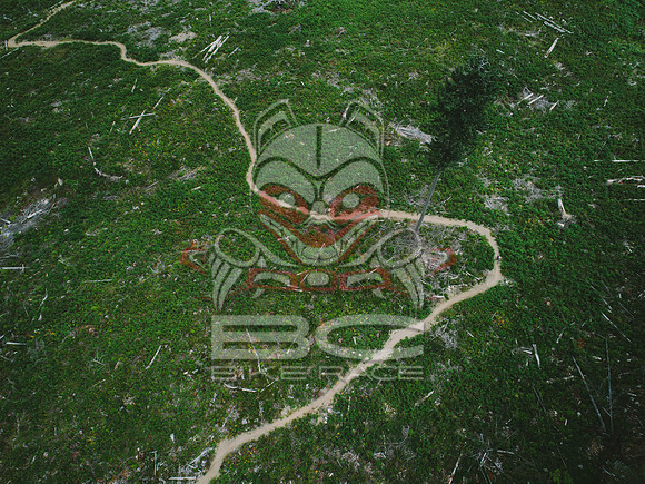 DJI_0040