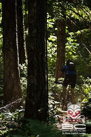 DS_BCBR08_1_0541