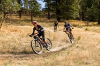 BCBR21_4_0549_DS