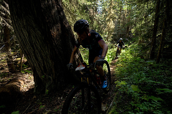 BCBR22_2_0052_DS