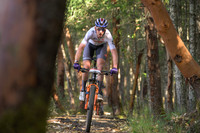 BCBR25_4_0063_DS