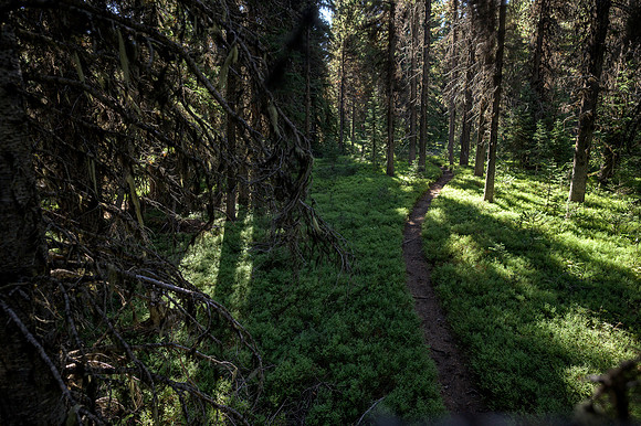 BCBR22_5_0153_DS