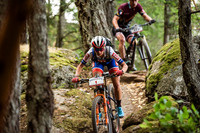 BCBR18_1_0070_DS
