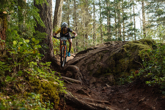 BCBR18_2_0034_MR