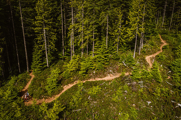BCBR18_2_0295_DS