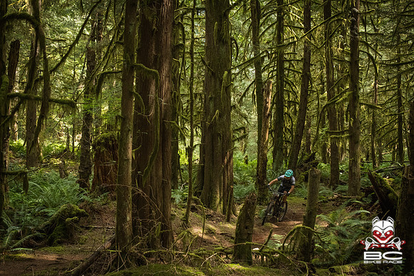 BCBR18_3_0083_MR