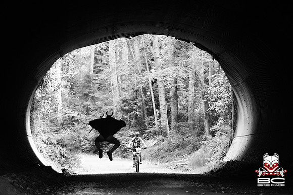 BCBR18_3_0088_MR