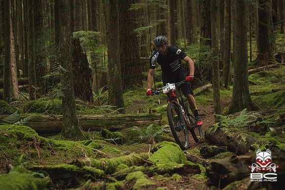 BCBR18_3_0046_MR