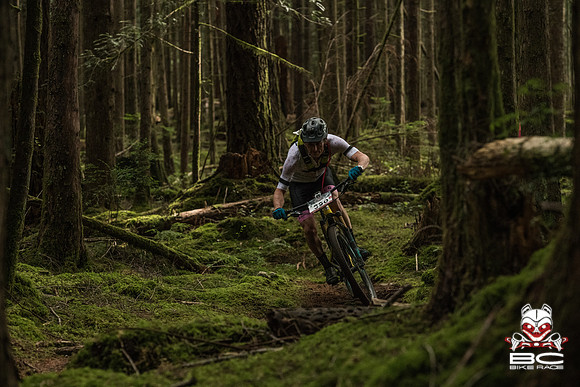 BCBR18_3_0053_MR