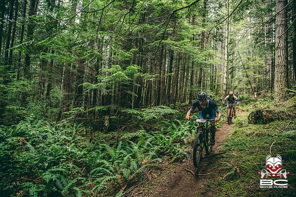 BCBR18_4_0599_TW