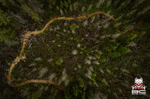 BCBR18_4_0265_DS