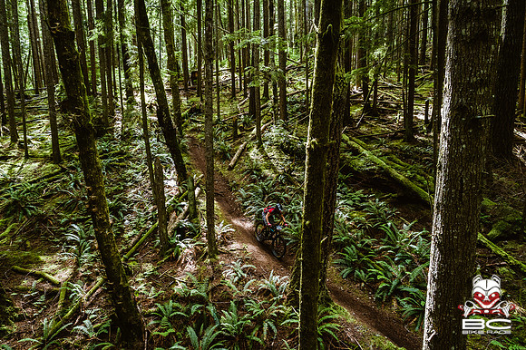 BCBR18_4_0368_DS