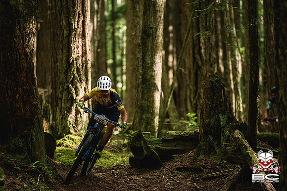 BCBR18_5_0076_DS