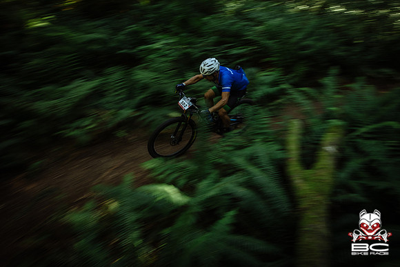 BCBR18_5_0048_MR