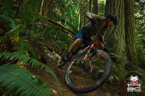 BCBR18_5_0029_MR