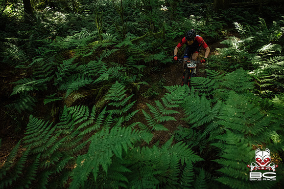 BCBR18_5_0044_MR