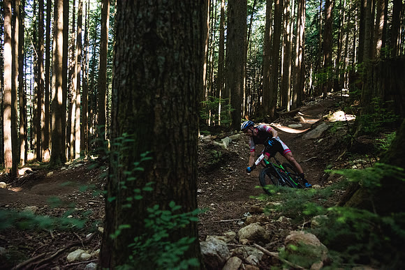 BCBR18_6_0031_DS
