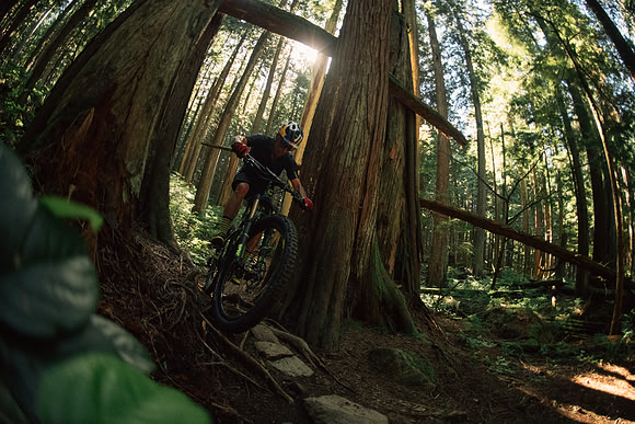 BCBR18_6_0023_MR