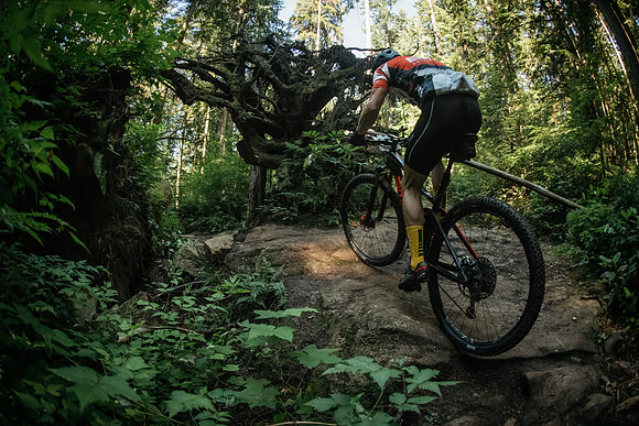 BCBR18_6_0034_MR
