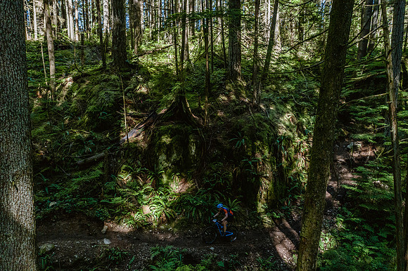BCBR18_6_0294_DS