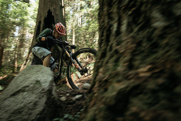 BCBR18_6_0044_MR