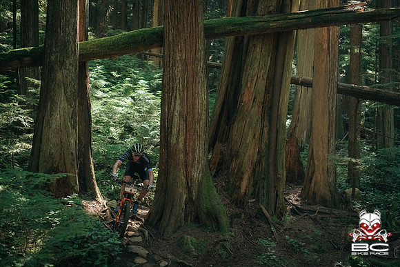 BCBR18_6_0014_MR