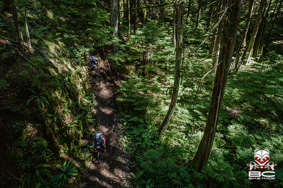 BCBR18_6_0278_DS