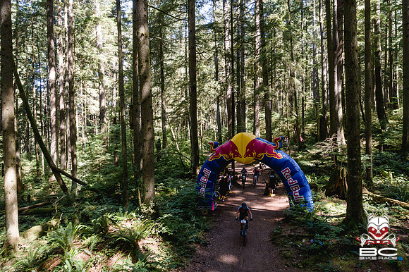 BCBR18_6_0357_DS