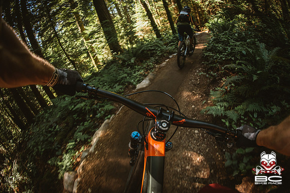 BCBR18_6_0049_MR