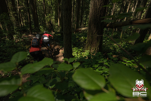 BCBR18_6_0053_MR