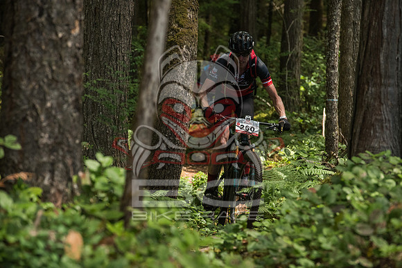 BCBR 2018-MR-0008
