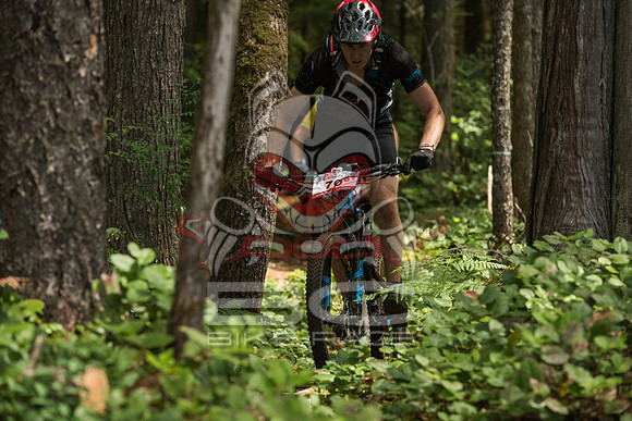 BCBR 2018-MR-0033