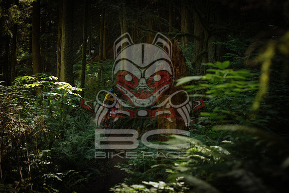 BCBR 2018-MR-0890