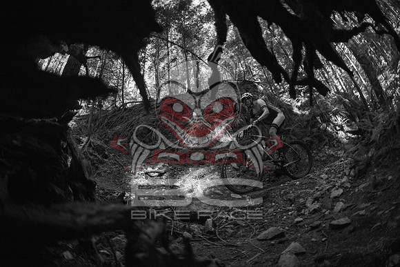 BCBR 2018-MR-1754