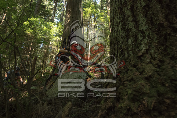 BCBR 2018-MR-1953